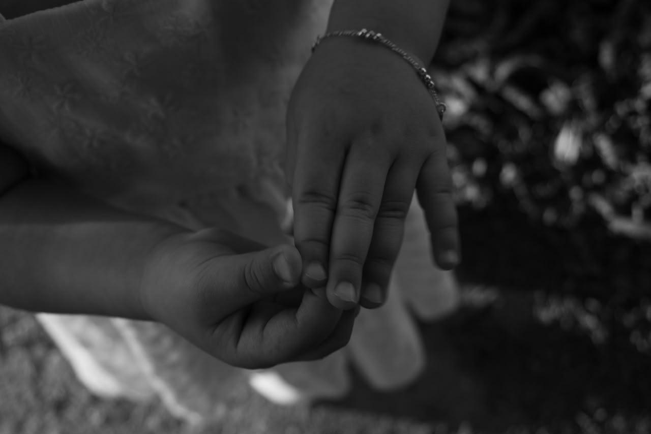 vyve fotografia