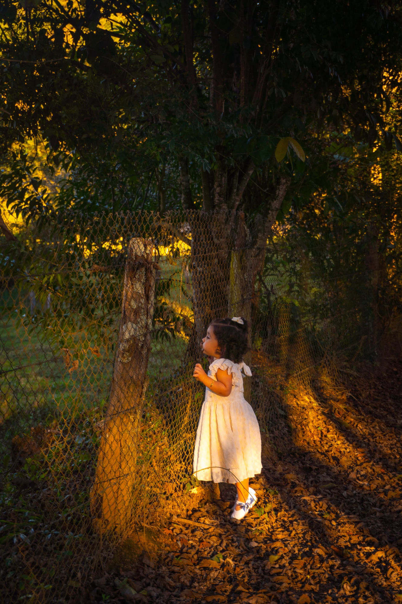Evelyne Rodrigues — vyve fotografia