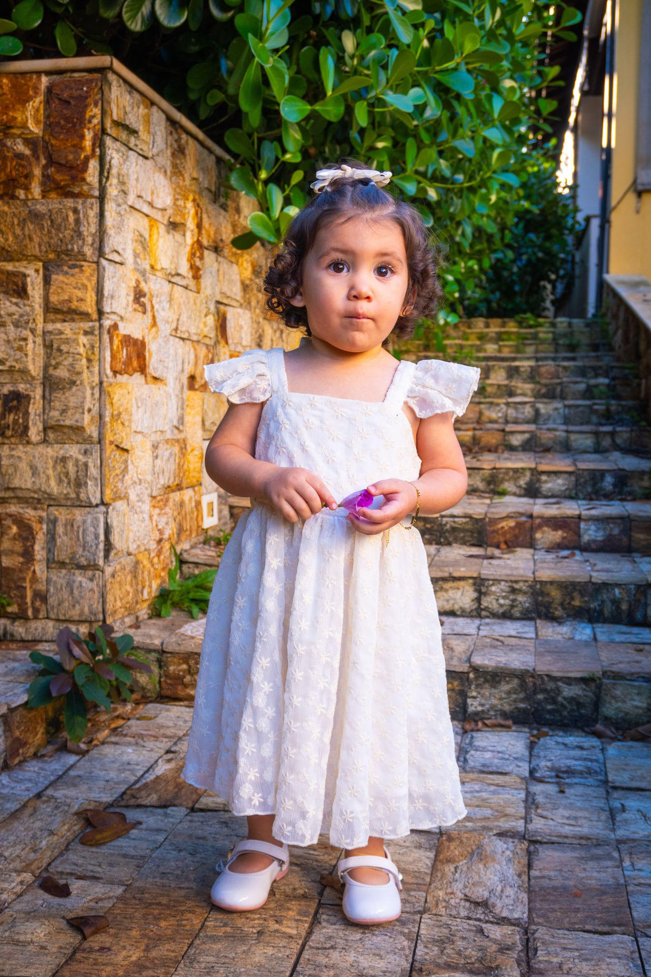 vyve fotografia
